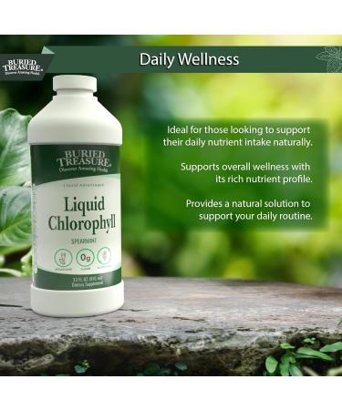 Buried Treasure Liquid Chlorophyll 100 mg, Dietary Supplement, Intestinal Digestive Support Natural Body Deodorant Vegan Non-GMO Alcohol Free, Spearmint Flavor 32oz - Buy Online on GoSupps.com
