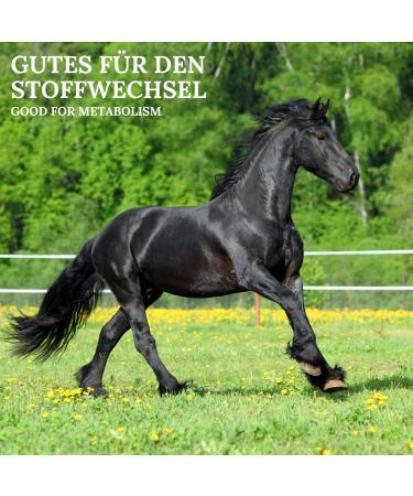 Stiefel Leberkr uter - 1kg - Buy Online on GoSupps.com