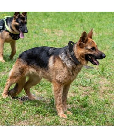 Tactical Dog Collar - Adjustable Soft Padded Nylon with Control Handle & Metal Buckle for Medium to XL Dogs - Brown - Buy Online on GoSupps.com