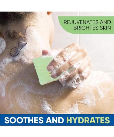 T.Taio Esponjabon Soap Sponge | Cleansing Shower Scrubber | Bath Wash Scrub | Oil Removal | Massage & Lather | Cucumber & Melon Soap - Buy Online on GoSupps.com