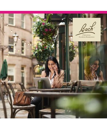 Bach Original Flower Remedies Elm - Be Efficient - Natural Homeopathic Flower Essence for Emotional Balance - Vegan Gluten Free Sugar Free - 20mL Dropper - Buy Online on GoSupps.com