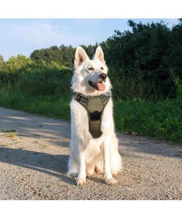 Eagloo Large Dog Harness for Training | Adjustable Anti-Pull Harness with Reflex Strips | Chest Harness for Labrador & Large Breeds | Brown XL (1 Pack) - Buy Online on GoSupps.com