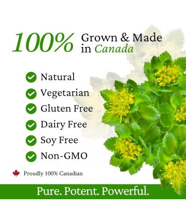 Nanton Nutraceuticals Rhoziva Teens Brain Supplement For Memory & Concentration Support | Natural Stress Relief | Rhodiola Rosea Bacopa + Vitamins | Vegetarian & Gluten Free | 80mg | 60 Count - Buy Online on GoSupps.com