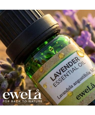 Ewela Lavender Essential Oil 100% Pure 0.34 Fl Oz Calming Aromatherapy Relaxation All Seasons - Buy Online on GoSupps.com