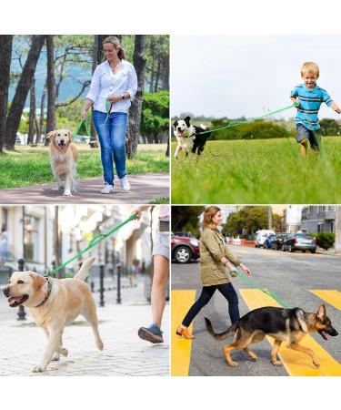 Demigreat 1.5m / 3m / 5m Dog Training Leash - Padded Handle Robust Long Line for Small to Large Dogs 10ft Green - International Shipping Available - Buy Online on GoSupps.com