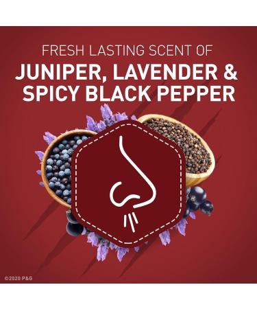 Old Spice Aluminum Free Deodorant for Men ElkLord 48 Hr. Protection 3.0oz (Pack of 3) Elklord 3 Ounce (Pack of 3) - Buy Online on GoSupps.com