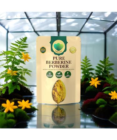 97% Pure Berberine Powder | 100g Plant-Based Extract Highly Potent | 500 mg Per Serving | Gluten-Free Vegan Lab-Tested - Buy Online on GoSupps.com