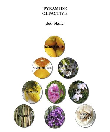 Deo Blanc 24-Hour Brightening Deodorizing Mist for Body & Intimate Dry Sensitive Shaved Skin 35ml - Buy Online on GoSupps.com