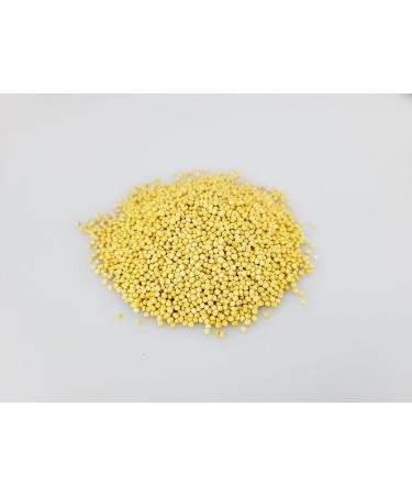 Premium Yellow Whole Mustard Seeds 50g - High-Quality Ingredients for Gourmet Cooking - Buy Online on GoSupps.com