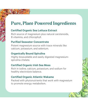 PURE SYNERGY Vital Ocean Magnesium | Organic Magnesium Supplement Capsules | Vegan Seaweed-Based Complex with Spirulina Chlorella & Wakame | for Energy Sleep & Stress (60 Capsules) - Buy Online on GoSupps.com