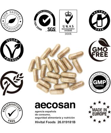 Hericium Erinaceus 9750 mg. 120 vegan capsules for 4 months. Lion Mane extract with 50% Polysaccharides and 10% Beta Glucans. Lions Mane for the digestive and immune system - Buy Online on GoSupps.com