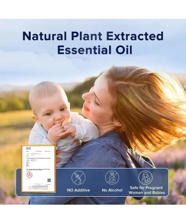 Ceeniu Essential Oils Set - 3 Pack Car Diffuser Refills (12ml) | Pure Cologne Lavender Dream Orchid Snow - 3 Months of Aromatherapy - Buy Online on GoSupps.com