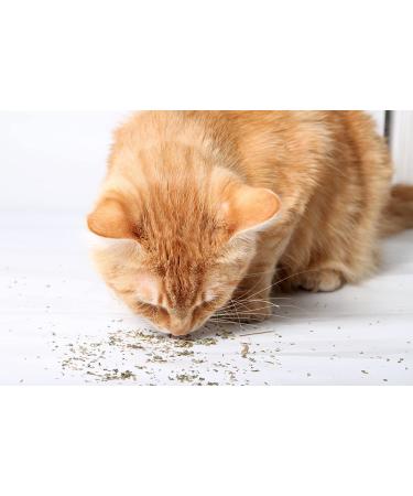 Cat Crack Organic Catnip Premium Blend for Maximum Potency - 1 Cup - Buy Online on GoSupps.com