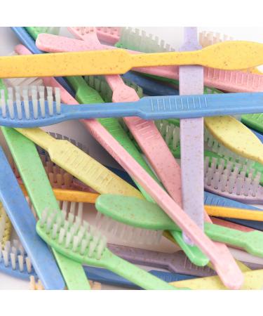 Dr. Bauer's 100 Pack Disposable Toothbrushes with Toothpaste | Eco-Friendly Travel & Hotel Toiletries | Sustainable Colors: Violet Green Blue Red - Buy Online on GoSupps.com