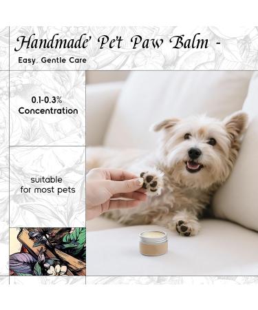 HIQILI 100ML Tea Tree Essential Oil & 30ML Water Lily Moonbeam Fragrance Oil for DIY Diffuser - Buy Online on GoSupps.com