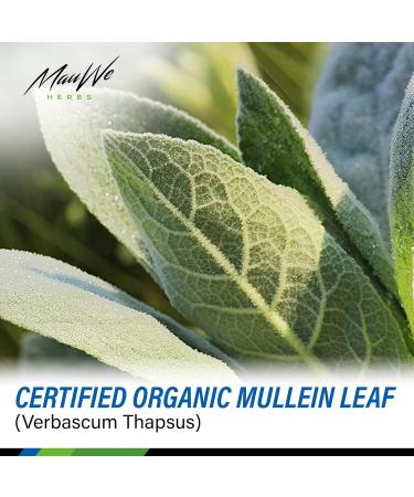 Mullein Leaf Tincture for Lung Cleanse & Respiratory Health - 4 Fl Oz Organic Herbal Supplement - Buy Online on GoSupps.com