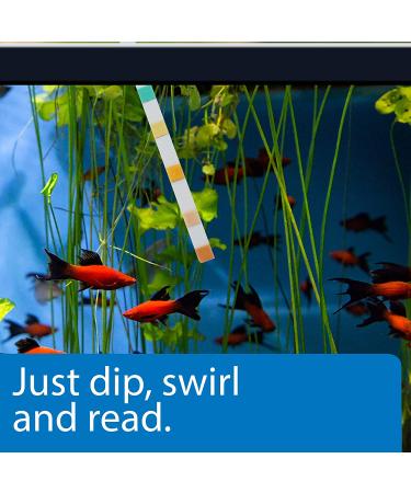 API Test Strips for Aquarium Water Quality - Monitor & Prevent Harmful Issues Weekly - Buy Online on GoSupps.com
