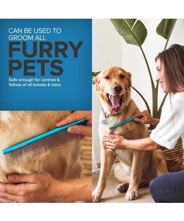 Paws Pamper Greyhound Comb for Dogs and Cats - Long Teeth, Wide Handle - Enhanced Grooming Experience - 50% Fine Pins - 1 Count - Buy Online on GoSupps.com