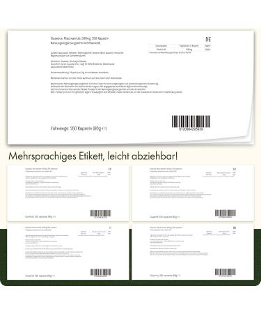 Swanson Niacinamide 500mg - Vitamin B3 No Flush 250 Capsules High Dosage Laboratory Tested Soy-Free Gluten-Free Non-GMO - International Shipping Available - Buy Online on GoSupps.com
