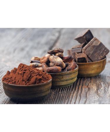 Organic Vegan Cocoa Powder 500g | Pure Ghana Drinking Chocolate & Baking Cocoa | Mild Low-Acidity De-oiled Theobroma Cacao | Pureeraw - Buy Online on GoSupps.com