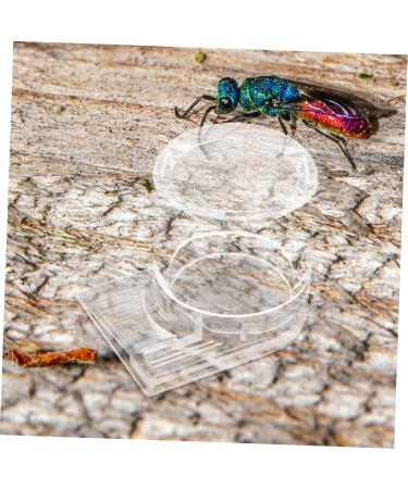FOMIYES Pet Water Feeder Ant Nest Feeder Ant Nest Water Cup Ant Keeper Tools Climbing Pet Water Dispenser - Buy Online on GoSupps.com