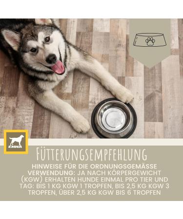 Vitamins for Dogs 1 ml + Paste 15 ml Vitamin B Complex for Dogs Vitamins B + Vitamin ACD Calcium Strengthens Vitality Multivitamins & Minerals Supports the Immune System Skin Coat - Buy Online on GoSupps.com