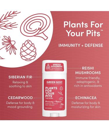 Green Goo Herbal Deodorant for Men and Women | Immunity + Defense | Cedarwood, Siberian Fir, Reishi Mushrooms, Echinacea | 2.25 oz - Buy Online on GoSupps.com