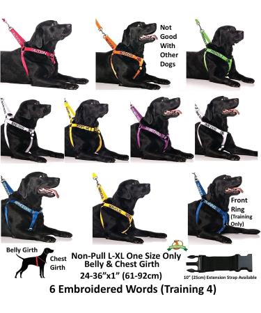 Dexil Limited Yellow Color Coded Non-Pull Dog Harness - XS 13-19 Inch Chest/Girth - Buy Online on GoSupps.com