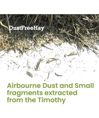 Lunnun Trading & Sales LTD Timothy Hay Premium Quality Dust-Free Green 100% Natural Timothy Hay for Rabbits Guinea Pigs Hamsters and all Small Animals - 5 KG 5.00 kg (Pack of 1) - Buy Online on GoSupps.com