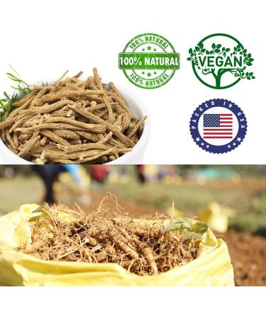 DABC OAK LAND American Ginseng from Wisconsin DOL American Wisconsin Ginseng Slices Root / (4 Ounce (Bag of 1) Small Root) - Buy Online on GoSupps.com
