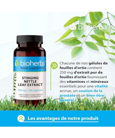 Nettle Extract with Iron - High Dosage - 100 Capsules of 250 mg - Food Supplement for Hair Prostate and Hydric Balance - Up to 1000 mg per Day BIOHERBA - Buy Online on GoSupps.com