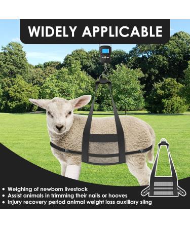 DJAPWPX 2 Pcs Calf Sling for Weighing Animals Livestock Sling with Adjustable Auxiliary Strap Lamb Weight Sling with Metal D Ring Animal Weight Sling for Newborn Calves Lambs - Buy Online on GoSupps.com