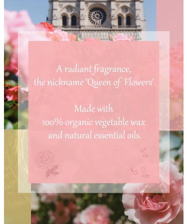 TRINIDa Rose Garden Collection Scented Candles Gift Set for Emotional Relaxation - 4 Pink Votive Candles - Buy Online on GoSupps.com