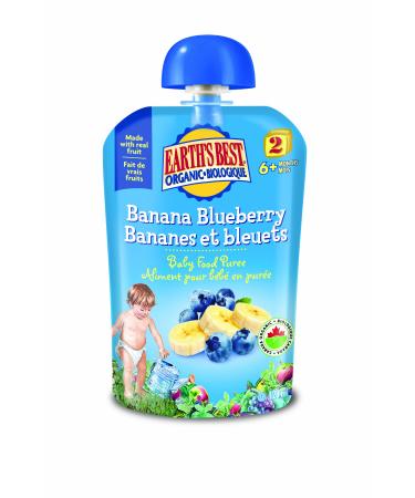 Earth's Best Baby Food Puree-Banana Blueberry 6-Count