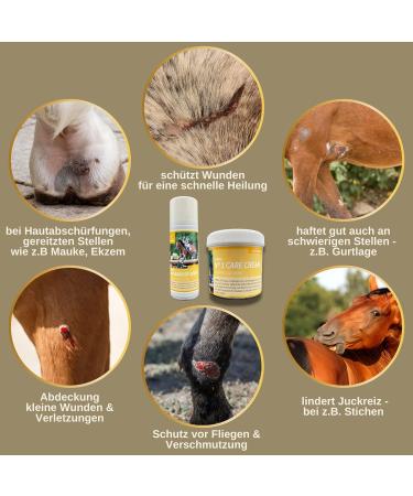 First Aid Set for Animals | Silver Spray & Zinc Ointment for Horses Cows & Pets | Wound Healing & Disinfection Spray | 250ml & 200ml - Buy Online on GoSupps.com