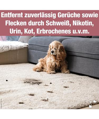 Bio-Chem Odor Remover & Stain Remover - 2X 750 ml | Effective Urine Neutralizer for Home & Pet Odors | International Shipping Available - Buy Online on GoSupps.com