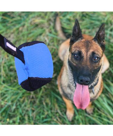Dingo Gear 9 cm Training Toy Ball - Black & Blue with 65 cm Handle | French Nylcott IGP Obedience Game - Small Ball for Dogs - Buy Online on GoSupps.com