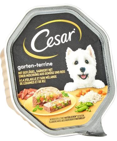 Cesar Dog Food Wet Garden Variety with Poultry Vegetables & Rice - 14 Bowls (2 Pack) | Premium Canine Nutrition for Happy Dogs - Buy Online on GoSupps.com
