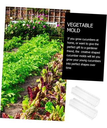Toddmomy Vessel Tools 4 Pcs Square Cucumber Molds Vegetables One Cucumber Plant DIY Star Tool Growth Molds Container Gourd - Buy Online on GoSupps.com