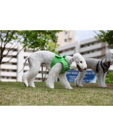 Puppia Dog Harness for Small & Medium Dogs - Soft Vest in Multiple Colors | Atani Train Harness for Puppies - Green Size M (PUAH305GRMD G) - Buy Online on GoSupps.com