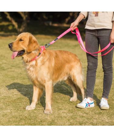 Dazzber Martingale Dog Collar - Large Adjustable Durable Nylon in Hot Pink - 1 Inch Wide Strong & Hard-Wearing - Buy Online on GoSupps.com