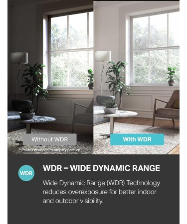 Kasa Smart Indoor Pan-Tilt Home Security Camera, 1080p HD Dog Camera w/Night Vision, Motion Detection for Baby & Pet Monitor, Cloud & SD Card Storage, Works w/ Alexa & Google Home, 2.4G WiFi (EC71) - Buy Online on GoSupps.com