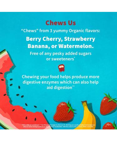Organic Kids+ Probiotics with Vitamin C & D - Berry Cherry Flavor  30 Chewables - Gluten  Dairy & Soy Free Immune & Digestive Health Supplement by Garden of Life - Buy Online on GoSupps.com