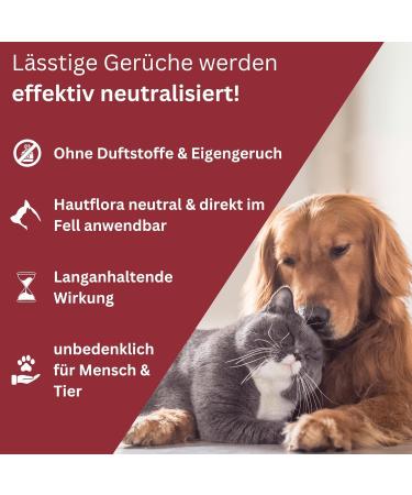 Deodog Odor Neutralizer | Eliminate Stubborn Pet Smells | Safe for Homes Cars & Pets | Cat Urine Dog Urine & Vomit Remover - Buy Online on GoSupps.com