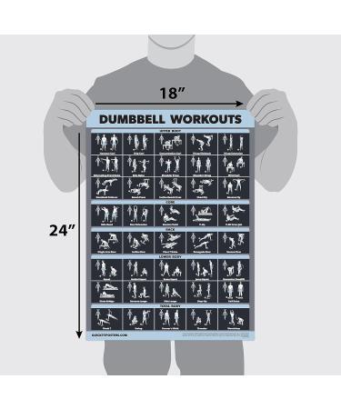 Palace Learning Dumbbell Exercise Poster - Laminated 18x24 | Perfect for Home Office Fitness - Buy Online on GoSupps.com