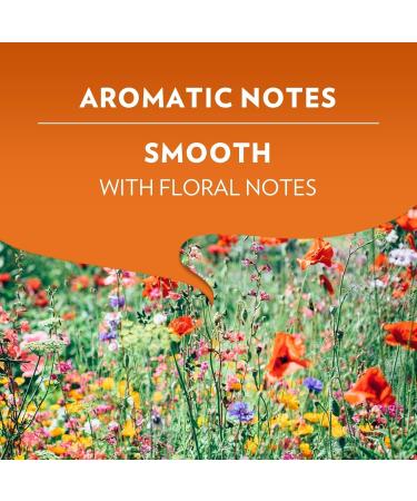  Lavazza Lavazza A Modo Mio Deliziosamente Pack of 4 4 x 16 Capsules - Buy Online on GoSupps.com