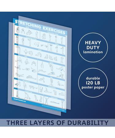 Buy Palace Learning Barbell Workout Posters - Set of 3 Laminated Exercise Charts (18x24 45.7x61 cm) for International Shipping - Buy Online on GoSupps.com