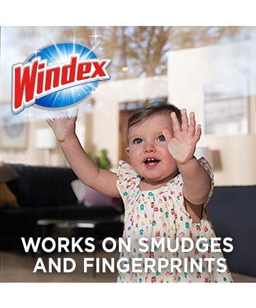 Windex Ammonia-Free Glass Wipes, Crystal Rain Scent, 25 Count - Buy Online on GoSupps.com