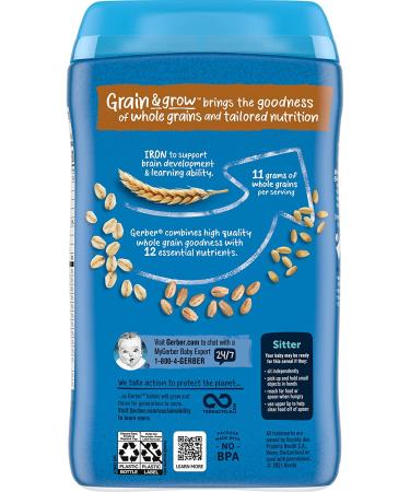 Buy Gerber Multigrain Cereal 2nd Foods - 16 oz (454 g) | Nutritional Baby Food - Buy Online on GoSupps.com