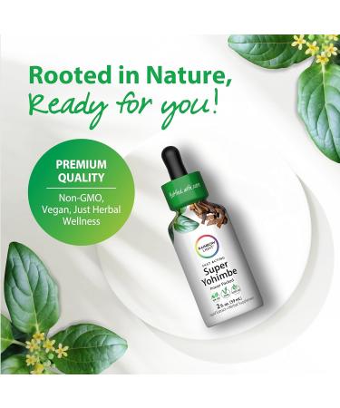 Rainbow Light Super Yohimbe Extract | 2 Fl Oz | Fast Acting Power Packed Formula | Alcohol Free | Non-GMO and Gluten Free Herbal Supplement | for Men and Women - Buy Online on GoSupps.com